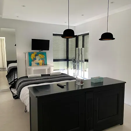 Magnifique Penthouse *
